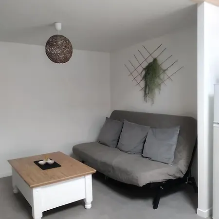 Cosy Proche Du Puy De Dome Apartament *