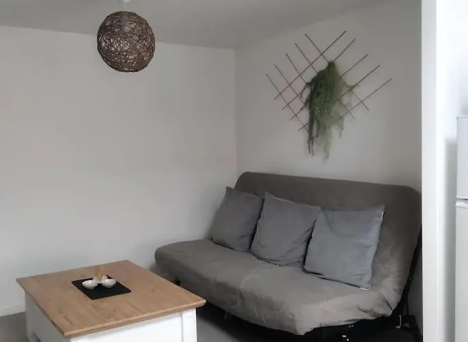 Cosy Proche Du Puy De Dome Apartamento *